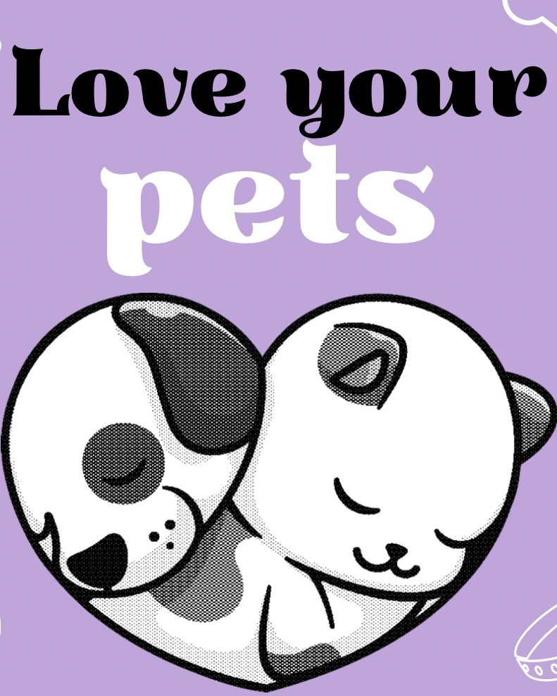 Petraordinary Pet Services - We Love Your Pets
